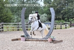 BPP_8223