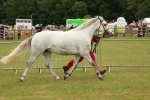 SBM_04284