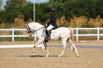 SBM_009656