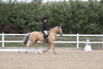 SBM_002897