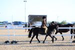 SBM_07791