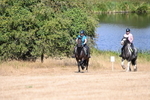 WJ6_8458