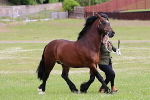SIAL5968