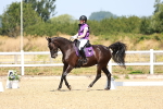 SBM_009891