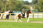 SBM_68235