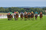 160724-Race 4-Jack Of Clubs-8958