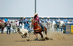 3HRodeo8-11-25_PRCASteer_05938_