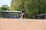 WJ6_7274