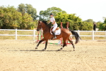 SBM_002676
