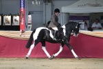 SBM_02920