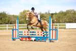 SBM_002672