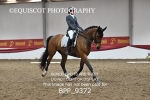 BPP_9372