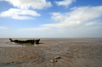 Ship wreck, Somerset _S087