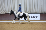SBM_000223