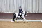 SBM_003084