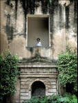 The Alcazar