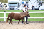 SBM_05810