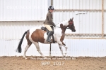 BPP_1017