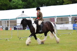 SBM_02655