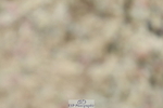 230630A-133441-02753