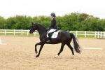 SBM_006950