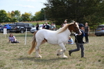 WJ6_6575