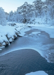 Glen Affric 3