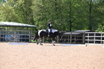 WJ6_8346