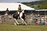 SBM_17839