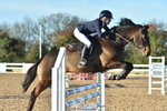 Cls 9 British Novice & 90cm Open portfolio