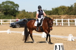 SBM_003019