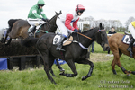 Old Berks Point-to-Point Lockinge 17/04/17 portfolio