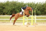 SBM_010110