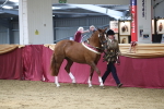 SBM_06614