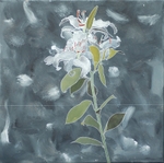 Lily on Grey24in x 24in