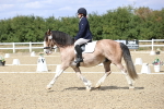 SBM_014560