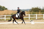 SBM_002946