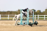 SBM_03345