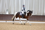 SBM_009455