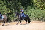 WJ6_8684