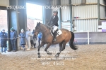 BPP_4501