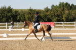 SBM_007019