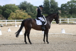 SBM_020389