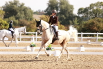 SBM_017022
