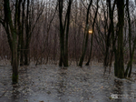Latest images portfolio
