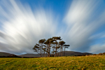 Cloud Bursting