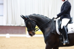 SBM_003249