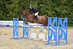 Cls 68 Foxhunter & 1.20m Open portfolio