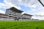 230824-Race 4-Bradsell-4303