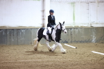 SBM_002441